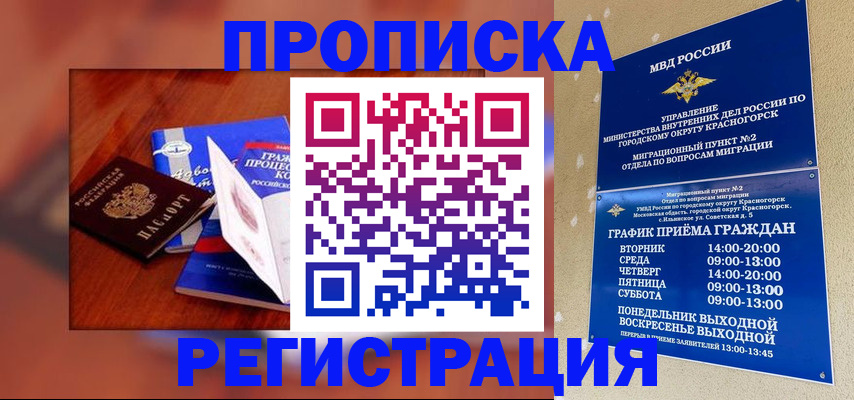 временная регистрация для школы в Чкаловске